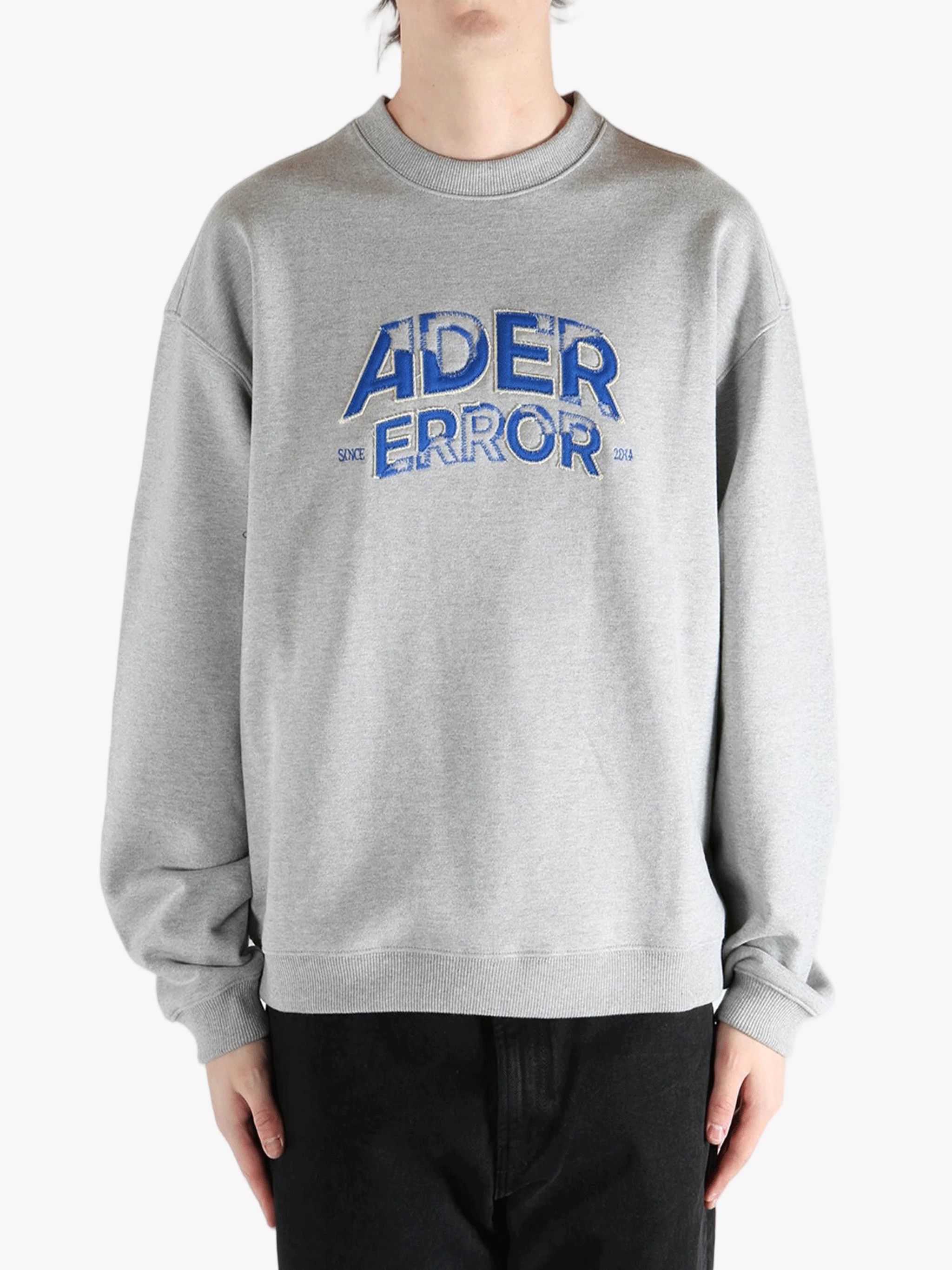 ADER ERROR - Unisex Personalized Logo Designs Hoodies - 1