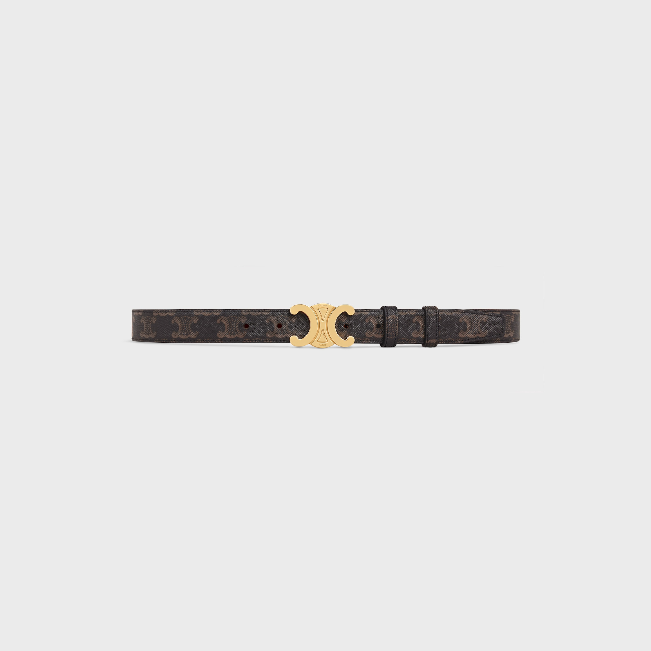 Medium Triomphe Belt in Triomphe Canvas - 2