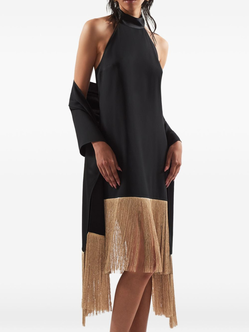Zizi Sole fringed scarf 3