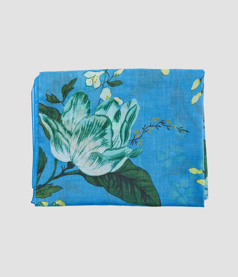 Erdem PAREO outlook