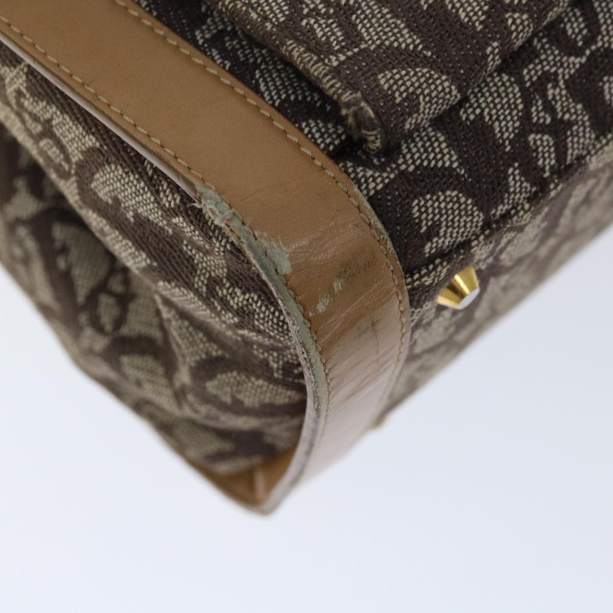 DIOR Trotter Canvas Hand Bag Beige - 9