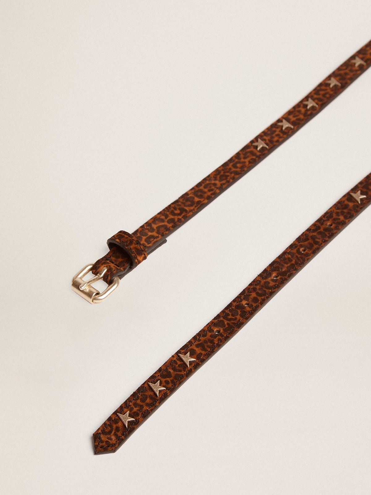 Molly belt in brown leopard-print suede with star-shaped studs - 2