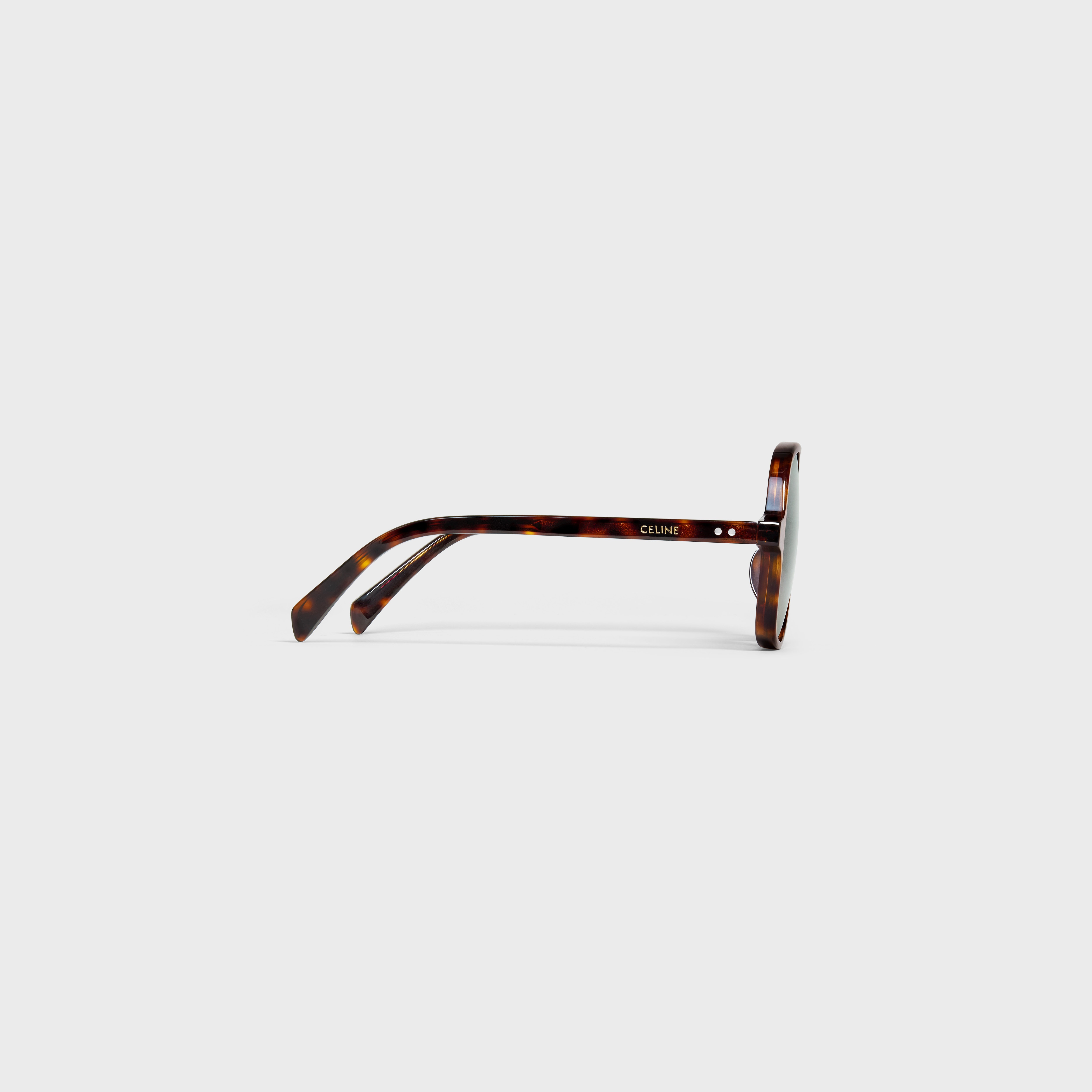 Oversized S244 Sunglasses in Acetate - 3