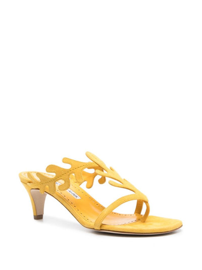 Manolo Blahnik Hidrag 50mm suede sandals outlook