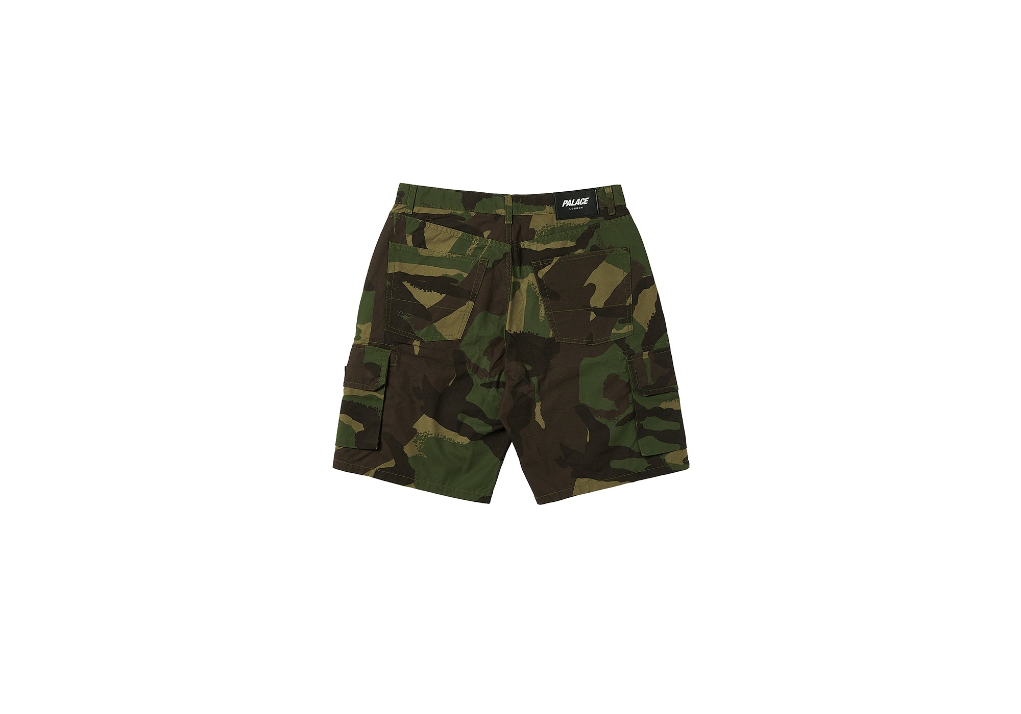 BAGGY CARGO SHORT CAMO - 2
