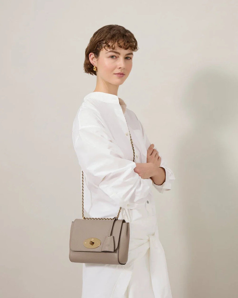 Mulberry Lily Cashmere Taupe Heavy Grain outlook