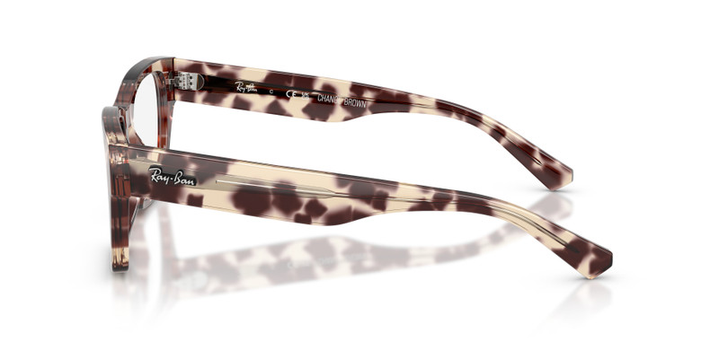 RB5448 OPTICS 6