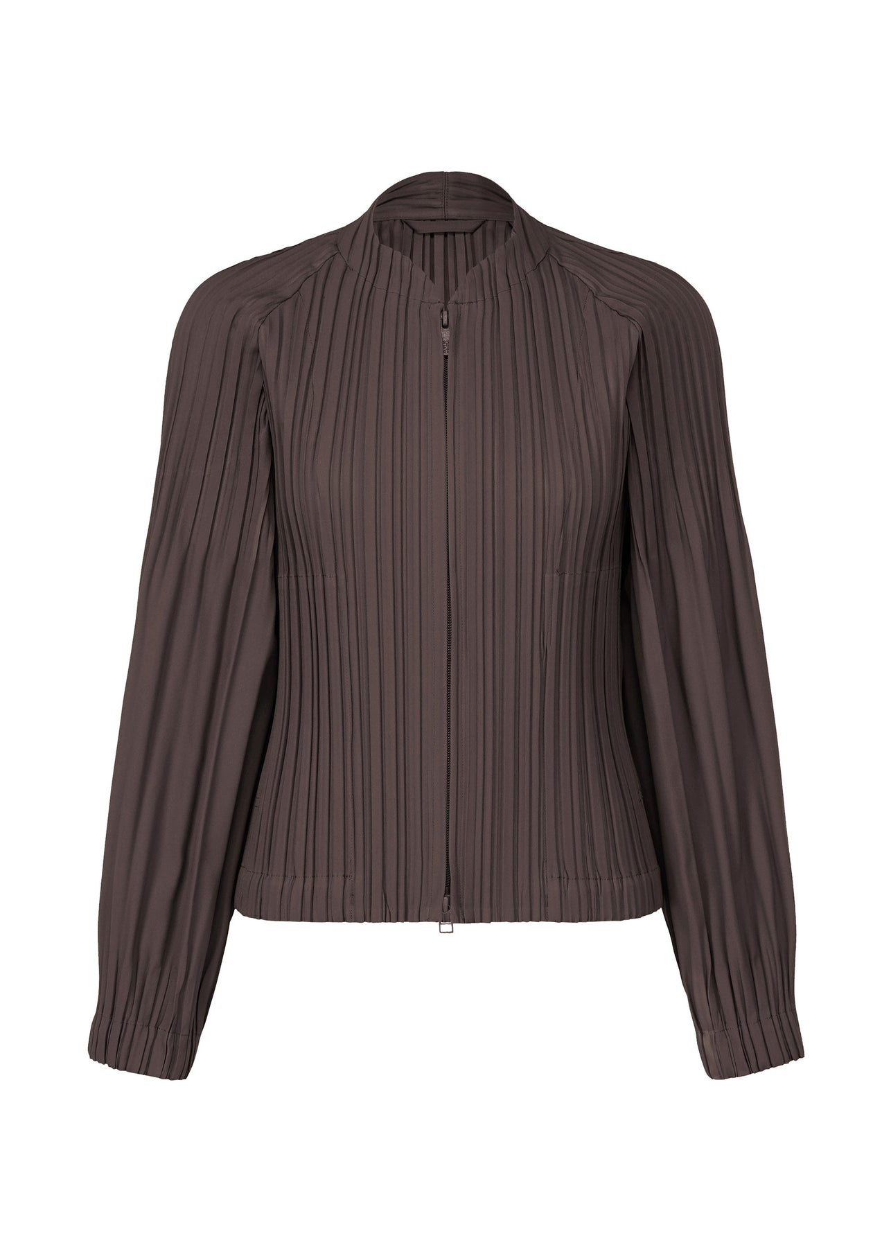 SMOOTH COAT - 1