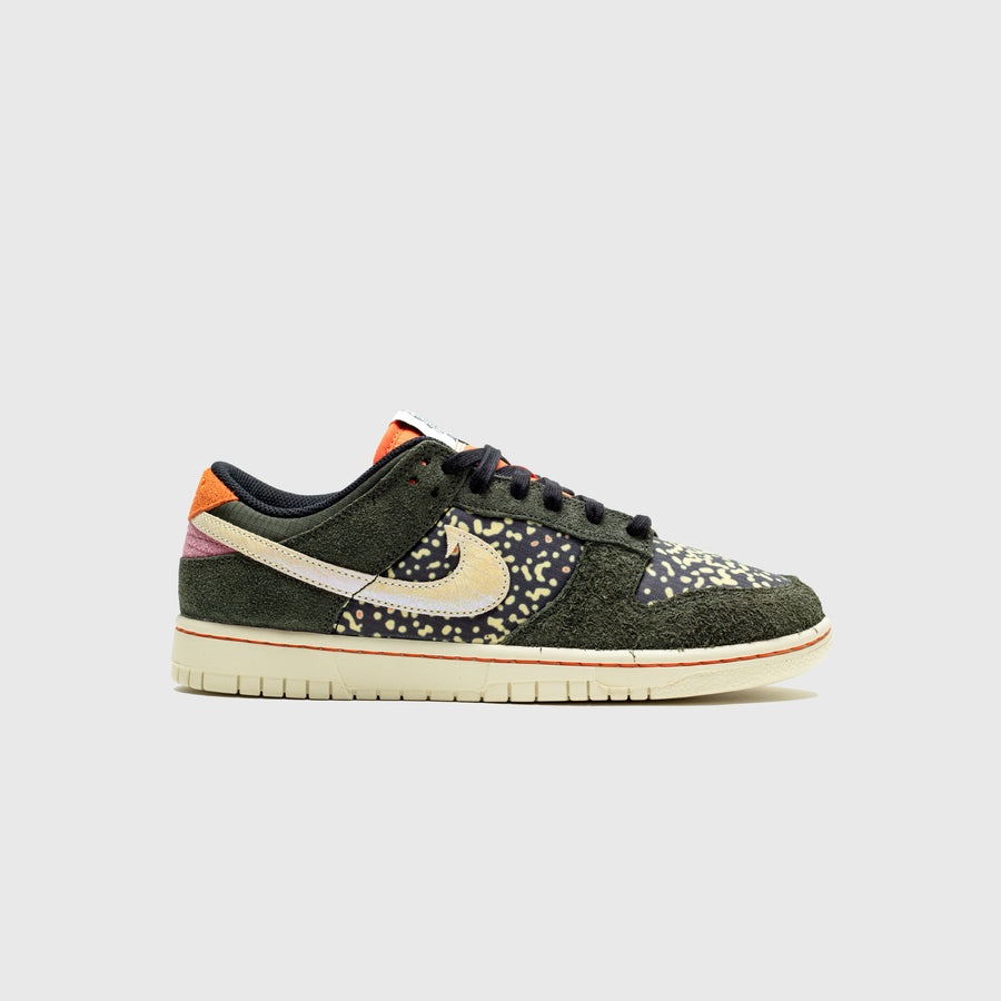 DUNK LOW RETRO SE 2  "RAINBOW TROUT" - 2