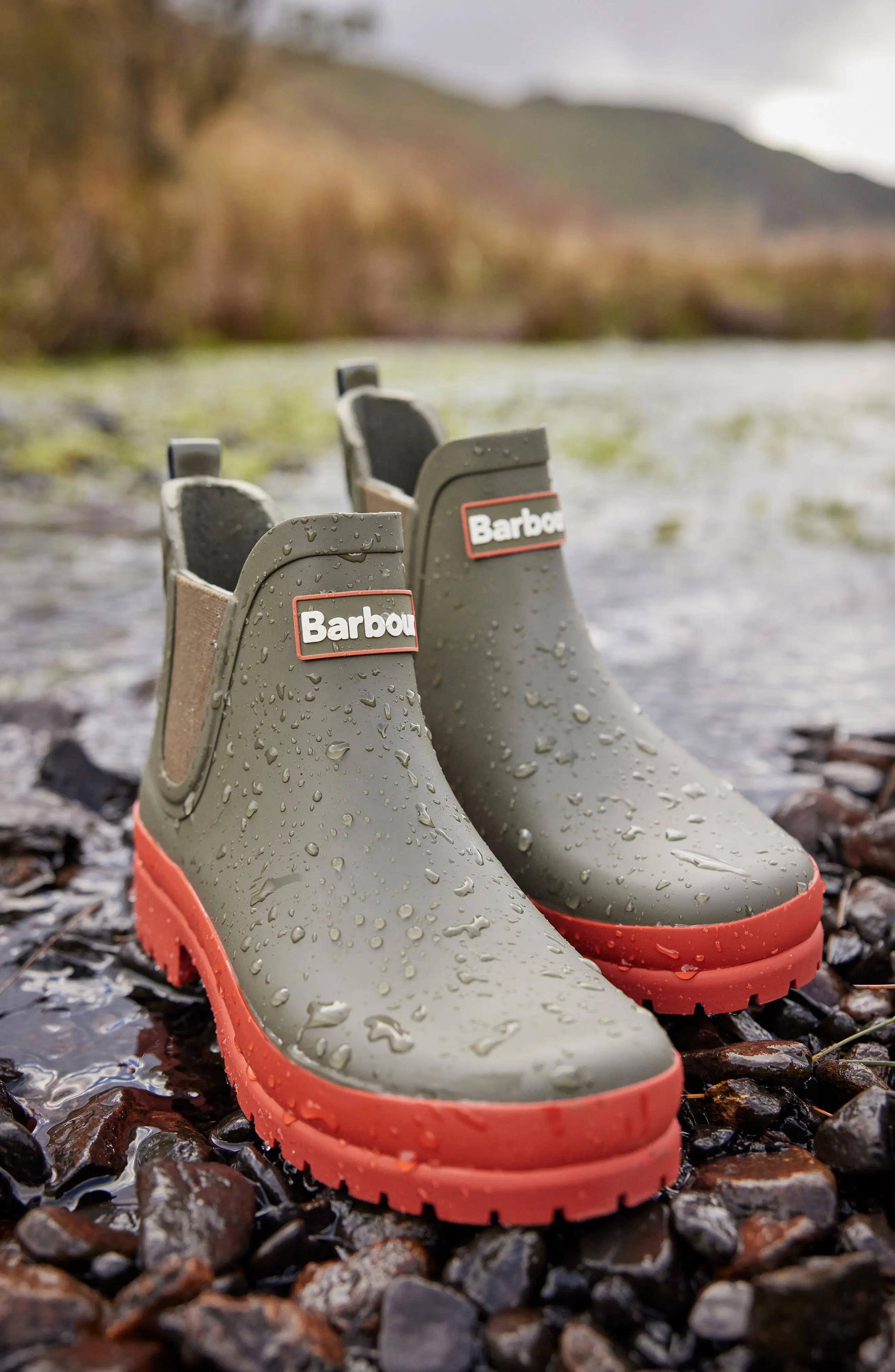 Mallow Wellington Chelsea Boot in Olive/Spiced Pumpkin - 7