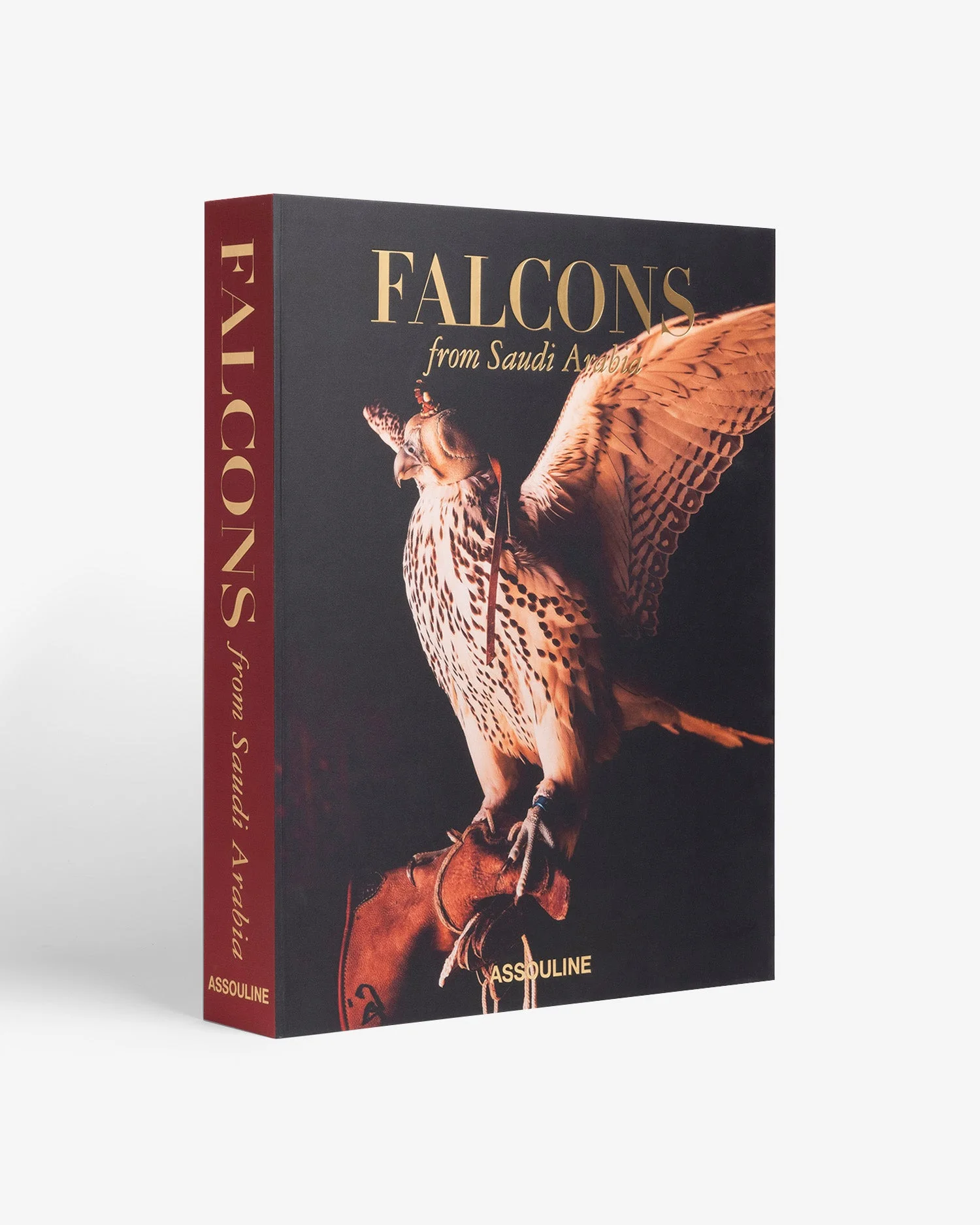 Falcons from Saudi Arabia - 1