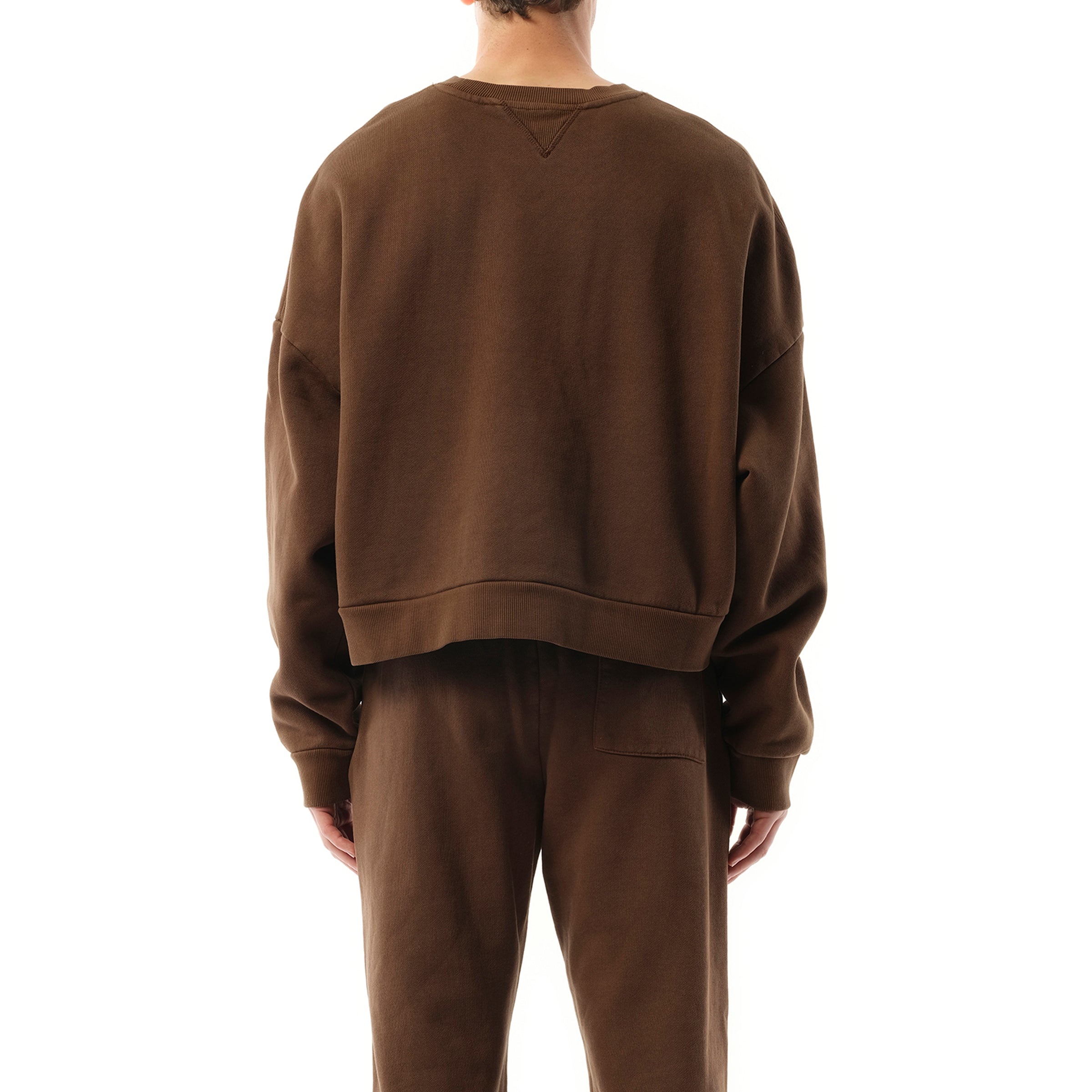 Box Sweatshirt in Brunette - 6