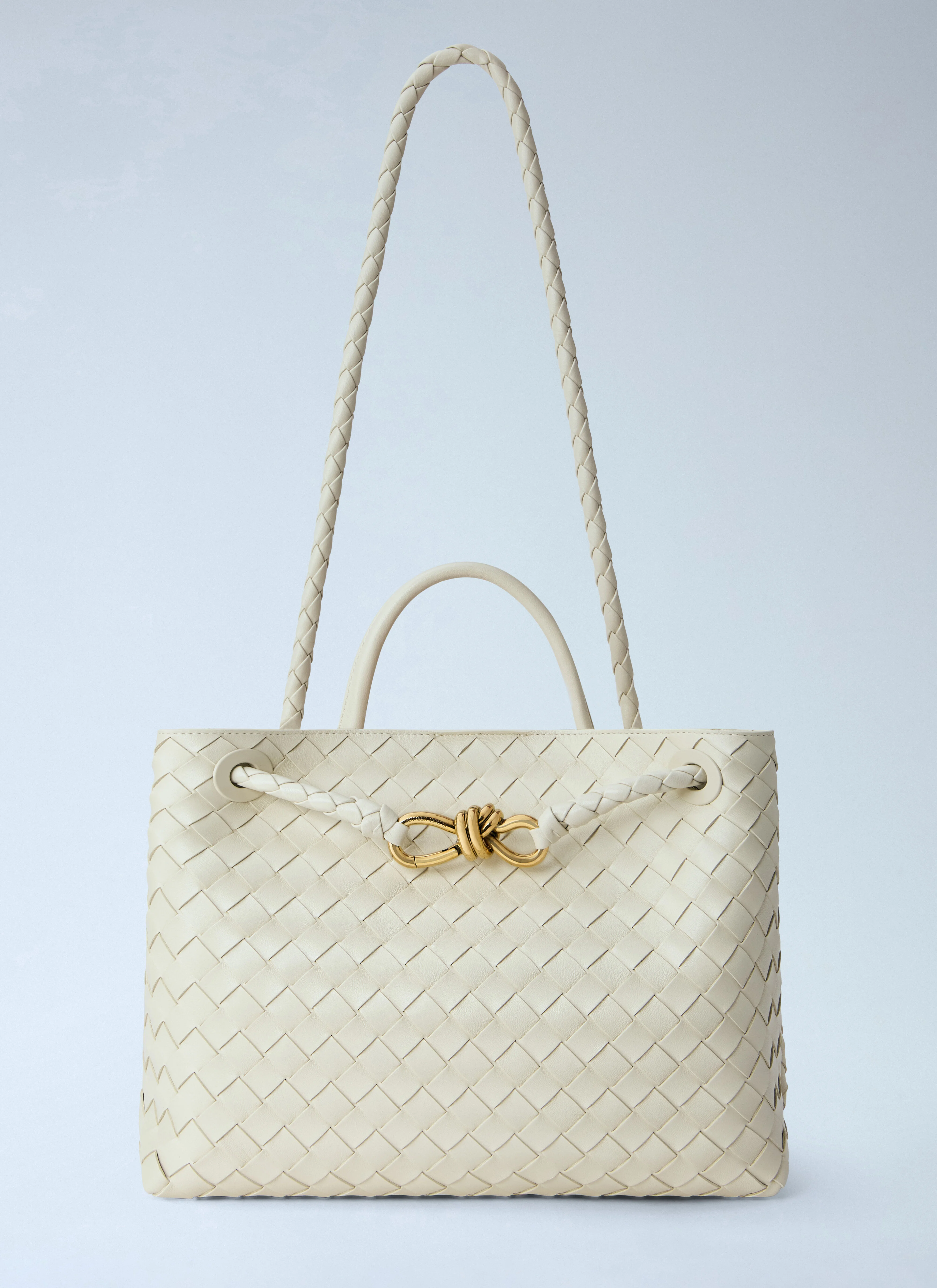 Medium Andiamo Handbag - 1