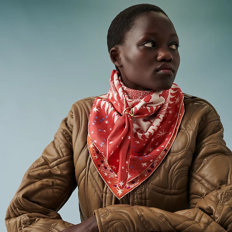 Hermès Sous le Charme d'Orphee double face scarf 90 outlook