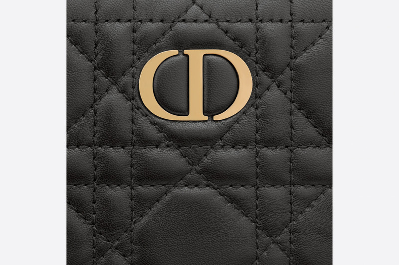 Small Dior Caro Zipped Pouch 4