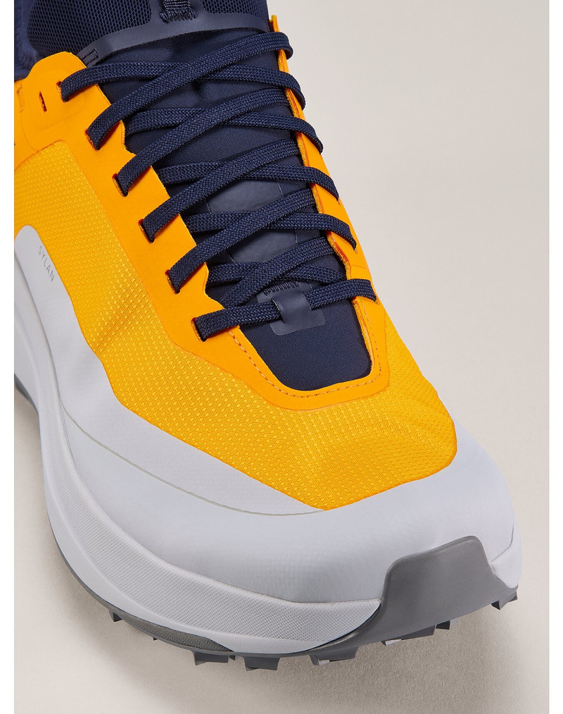 Arc'teryx Sylan GTX Shoe outlook