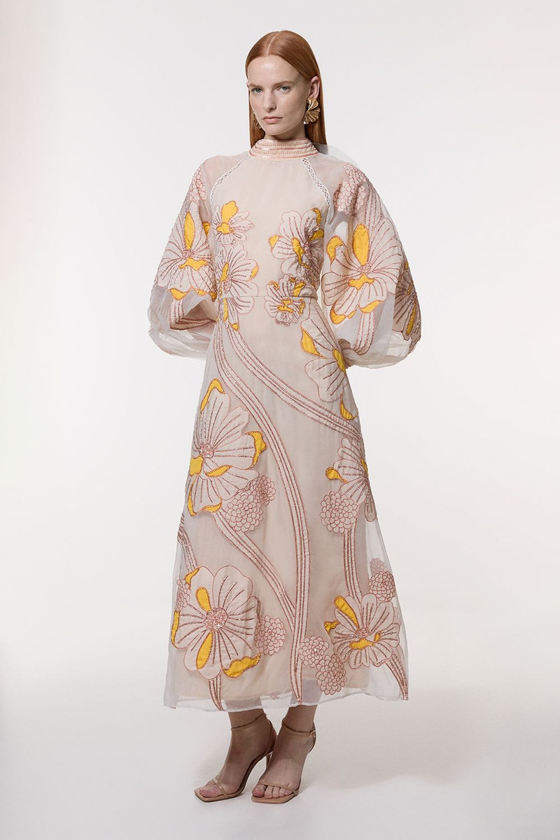 Applique Organdie Floral Graphic Woven Maxi Dress 5