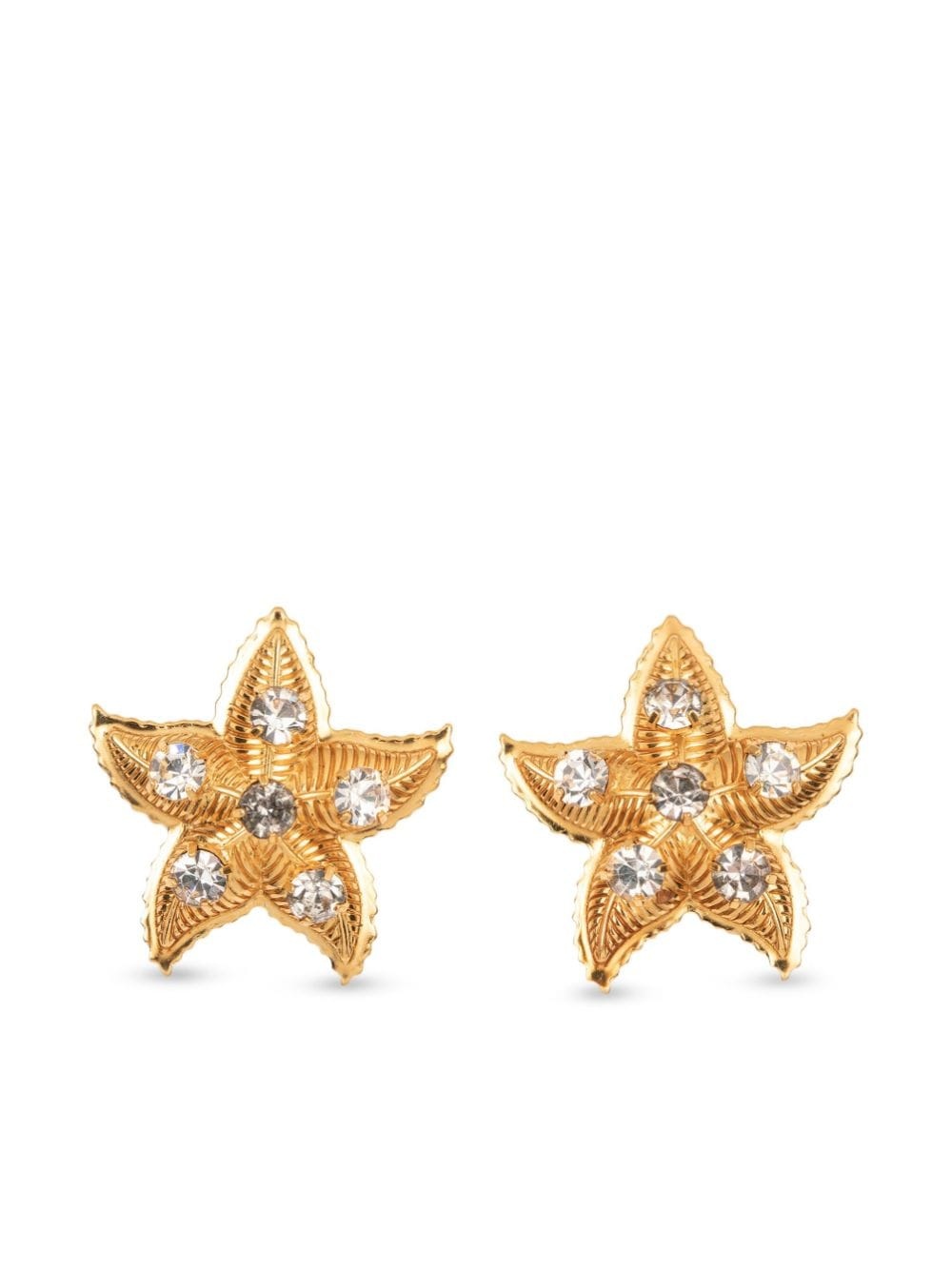 Asteroidea starfish-motif earrings - 1