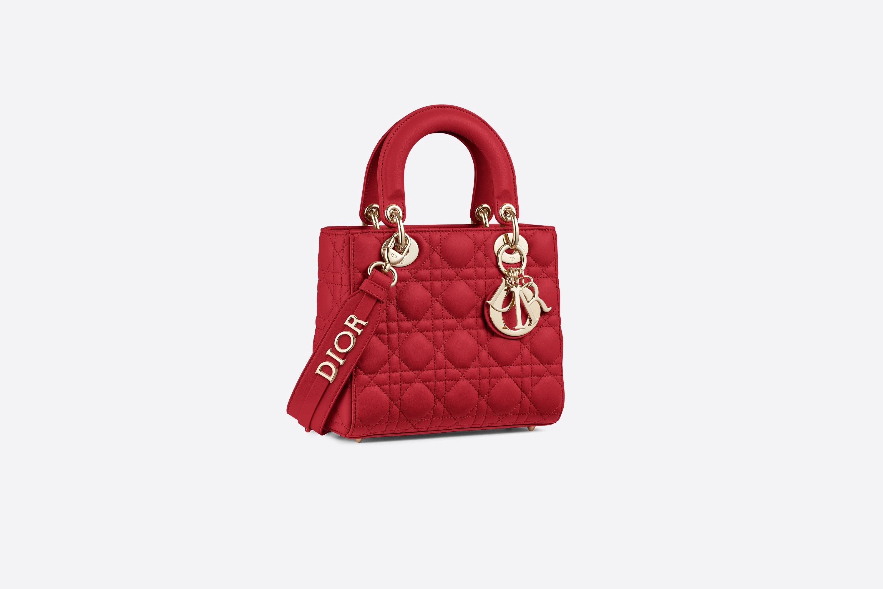 MyABCDior Lady Dior Bag - 6