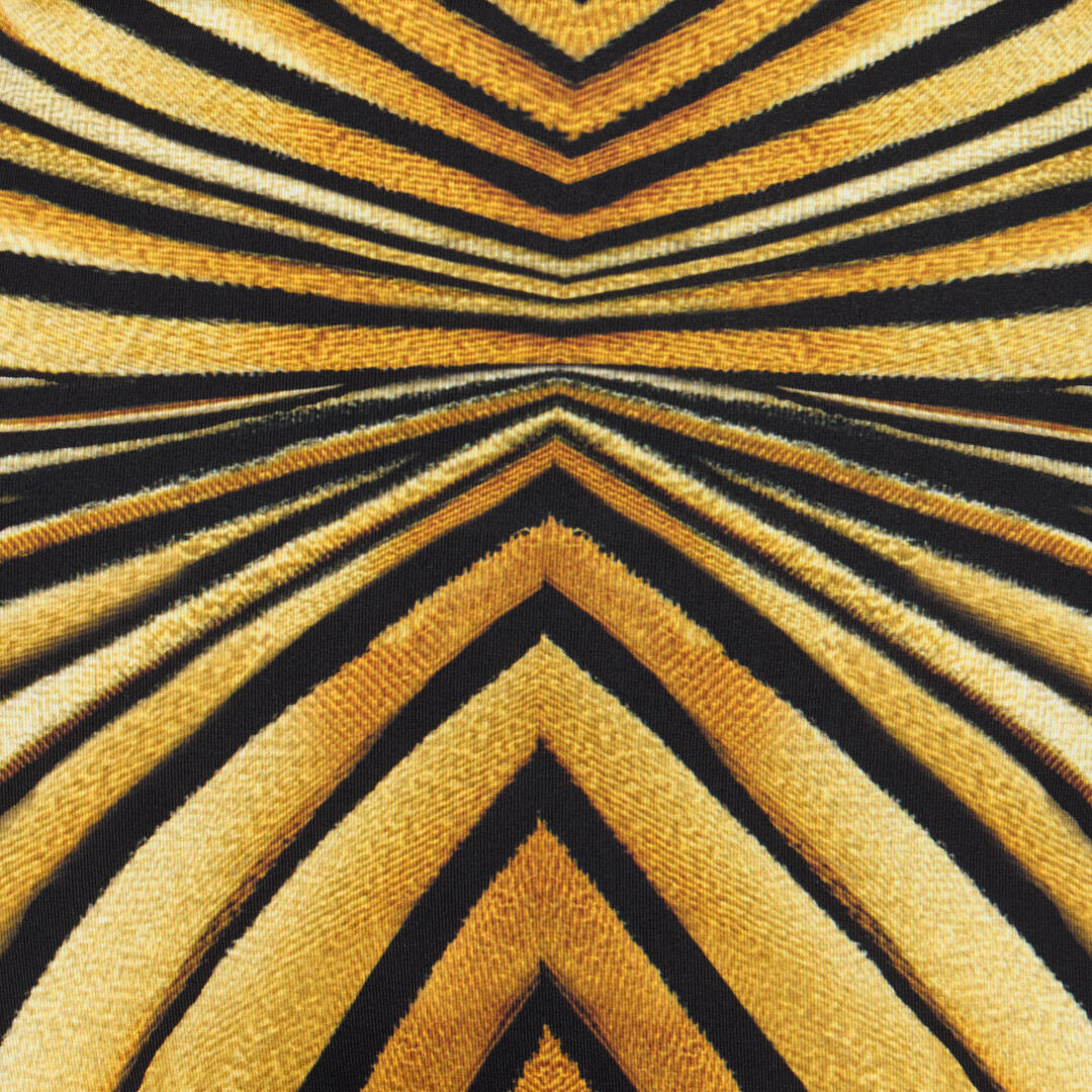 Ray Of Gold Print Jumpsuit - 5