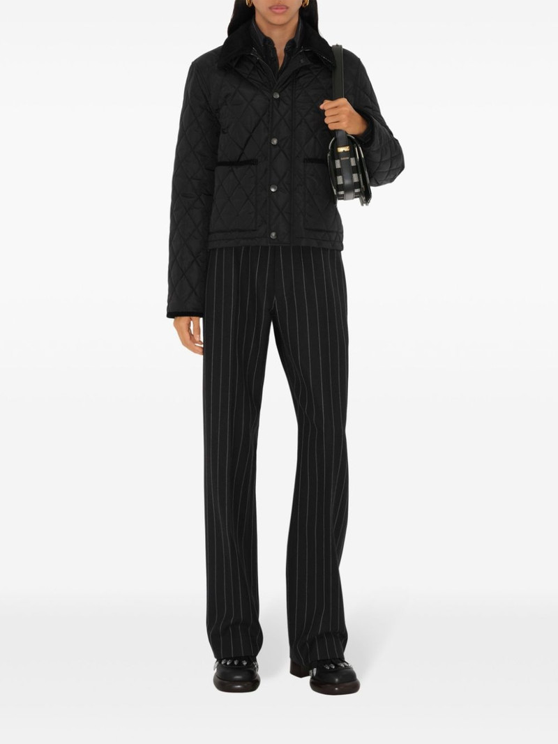 Burberry Witney jacket outlook