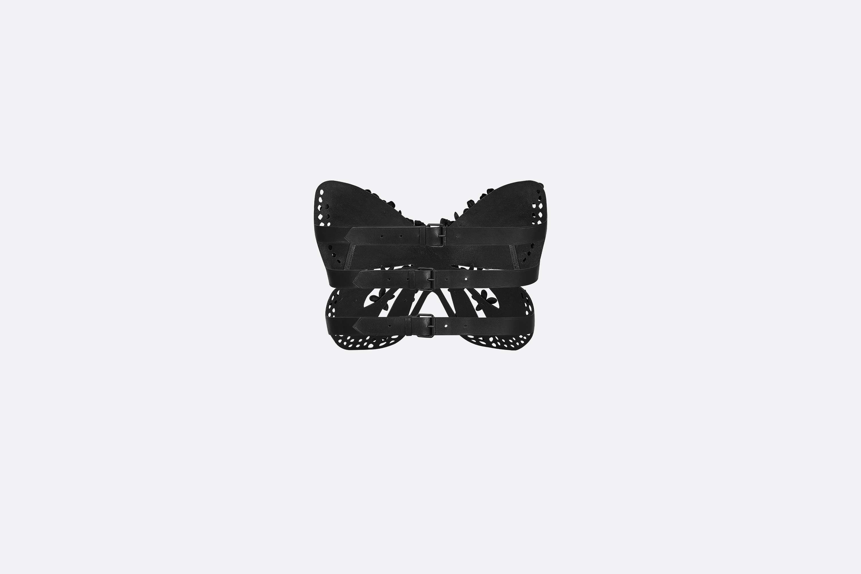 Butterfly Corset - 4