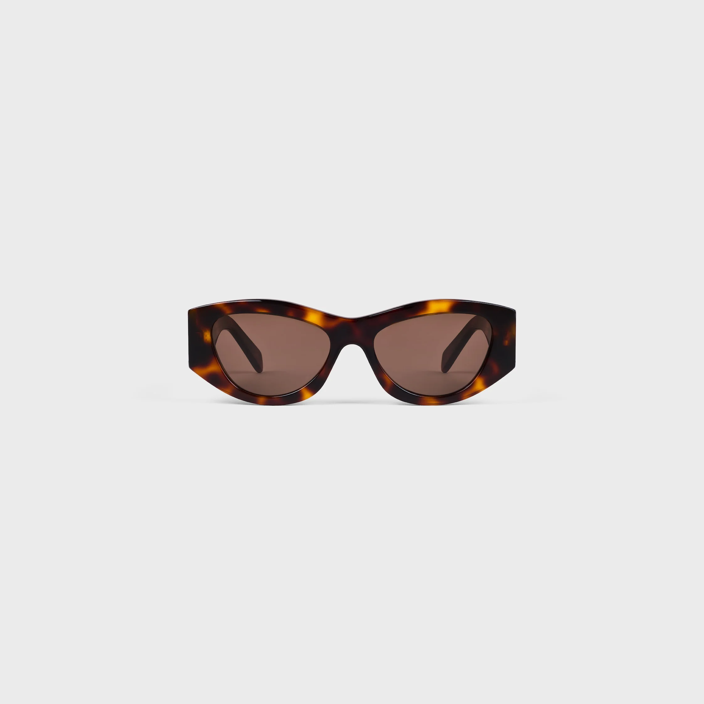 Triomphe 15 Sunglasses in Acetate - 1