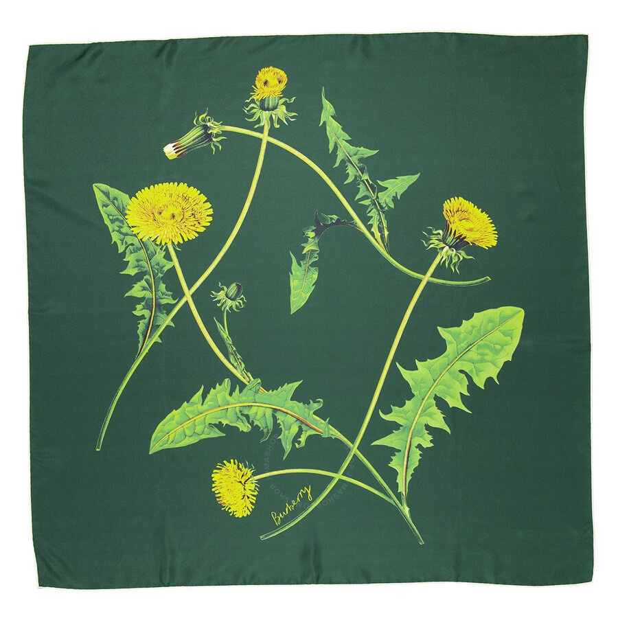 Burberry Dandelion Floral-Print Scarf - 4