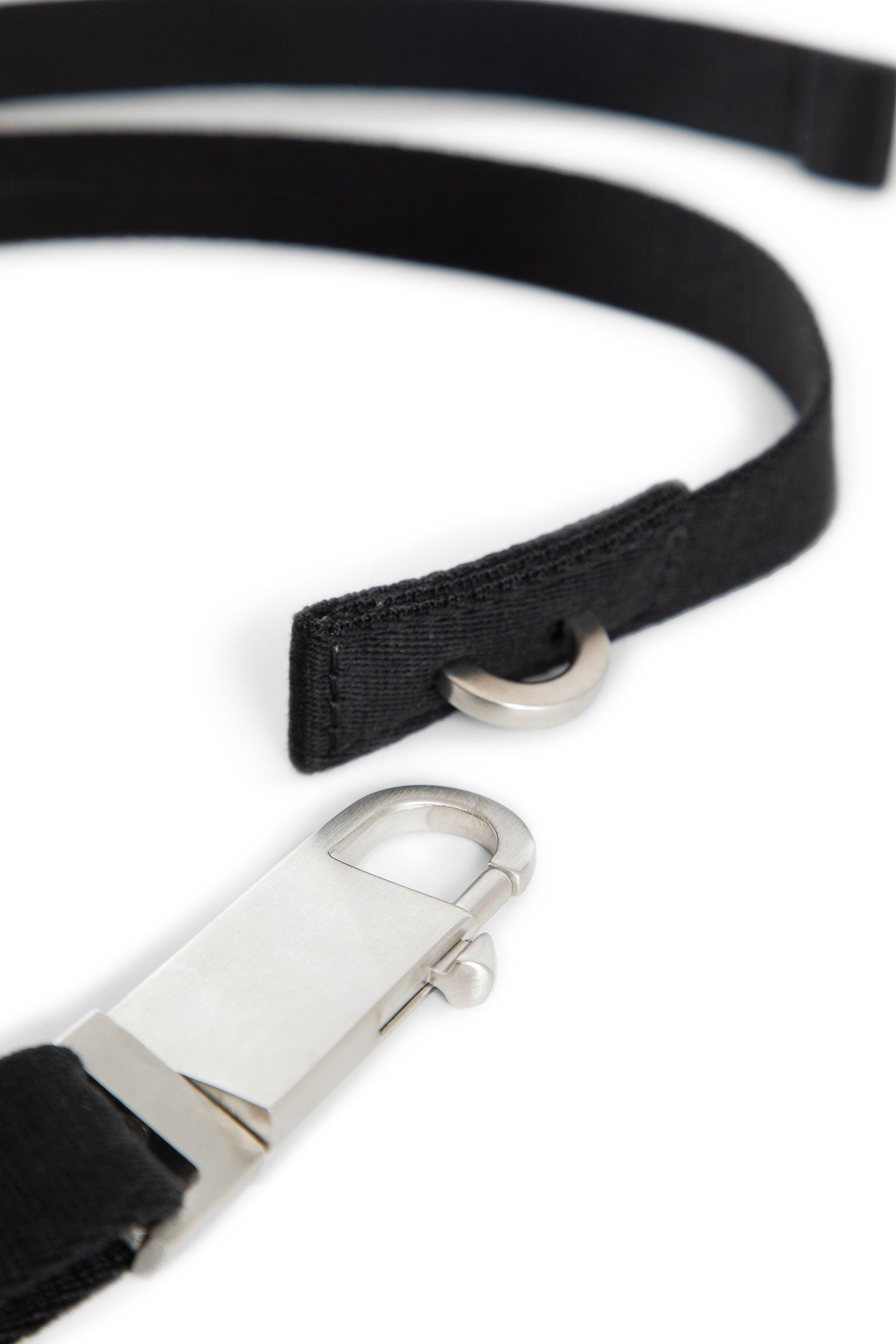 Concordians-Disco-Belt - 3