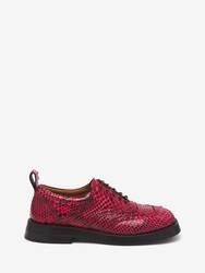 The Brogue Shoe - 1