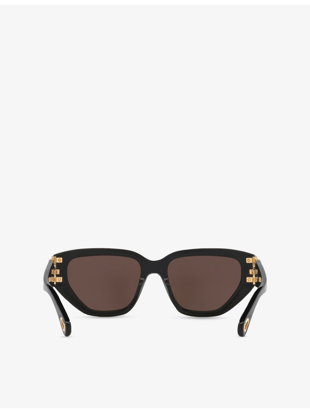 CH0235S Cat-Eye Acetate Sunglasses - 4