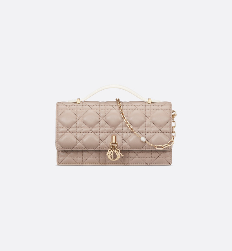 내 Dior 미니 백 1
