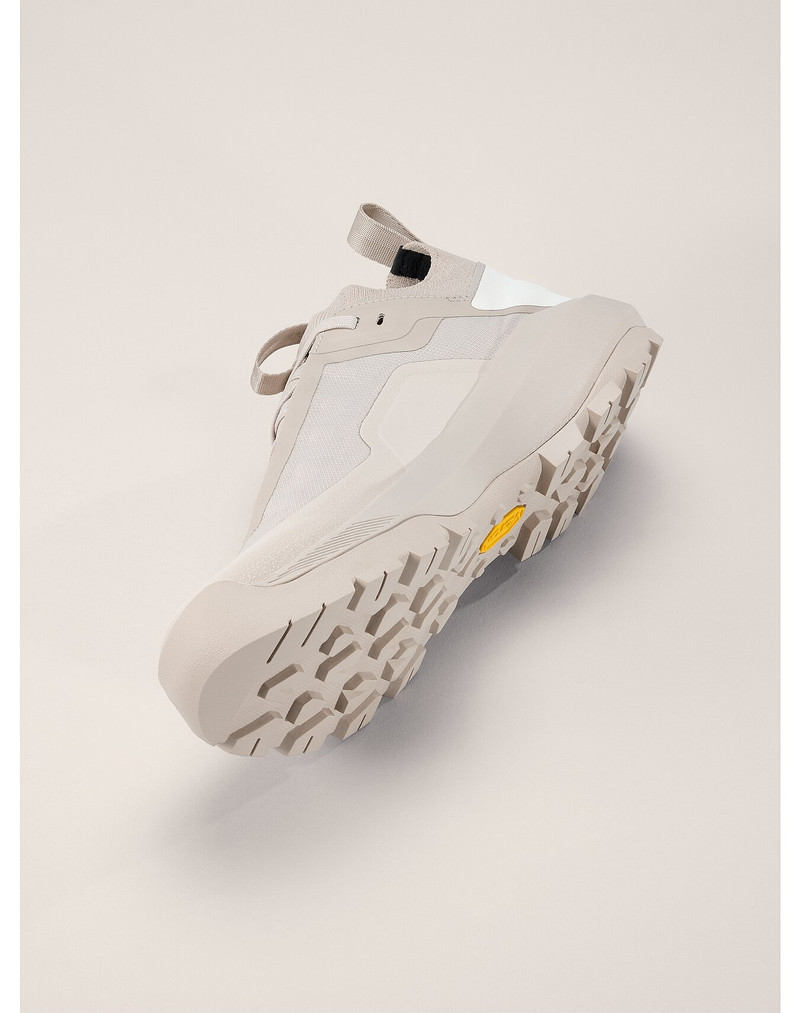 Vertex Alpine GTX Shoe 5