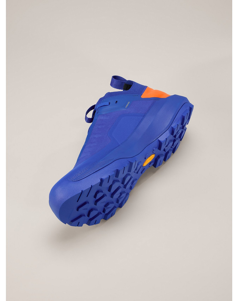 Vertex Alpine GTX Shoe 5