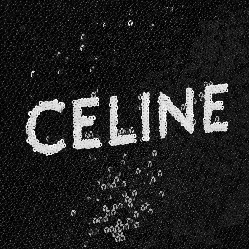 Mini Vertical Cabas in sequins with CELINE 4