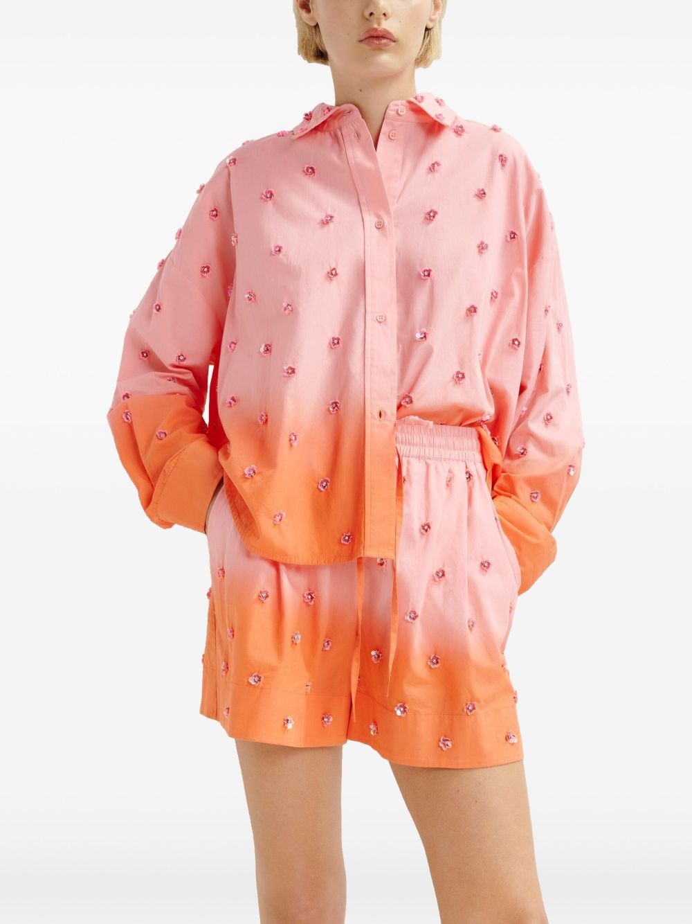 Hichigan shorts - 4