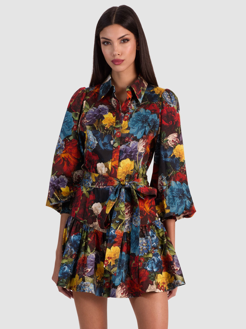 LILY MINI SHIRT DRESS 5