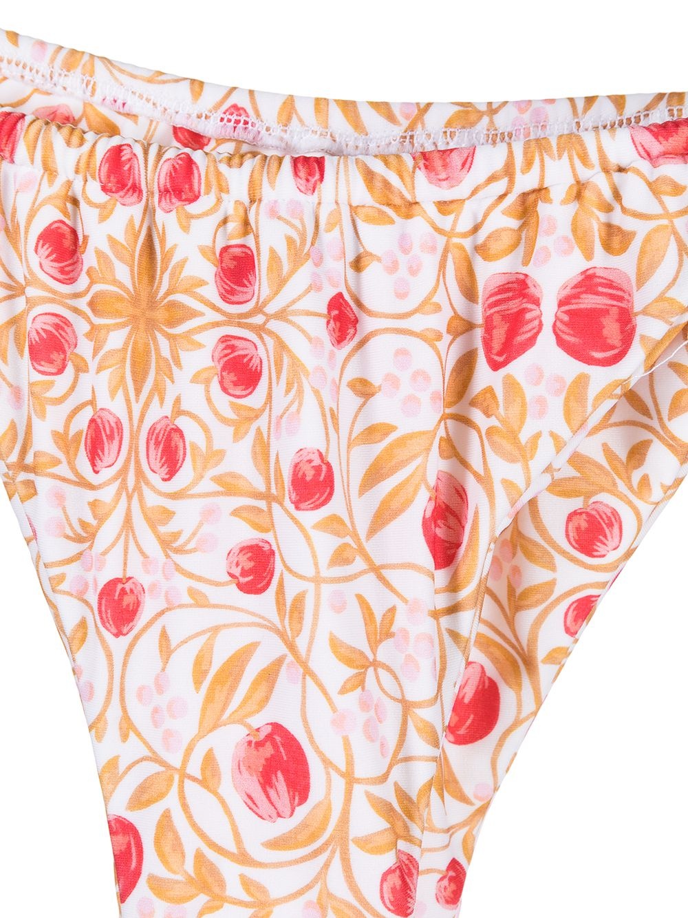 Catania floral-print bikini briefs - 3