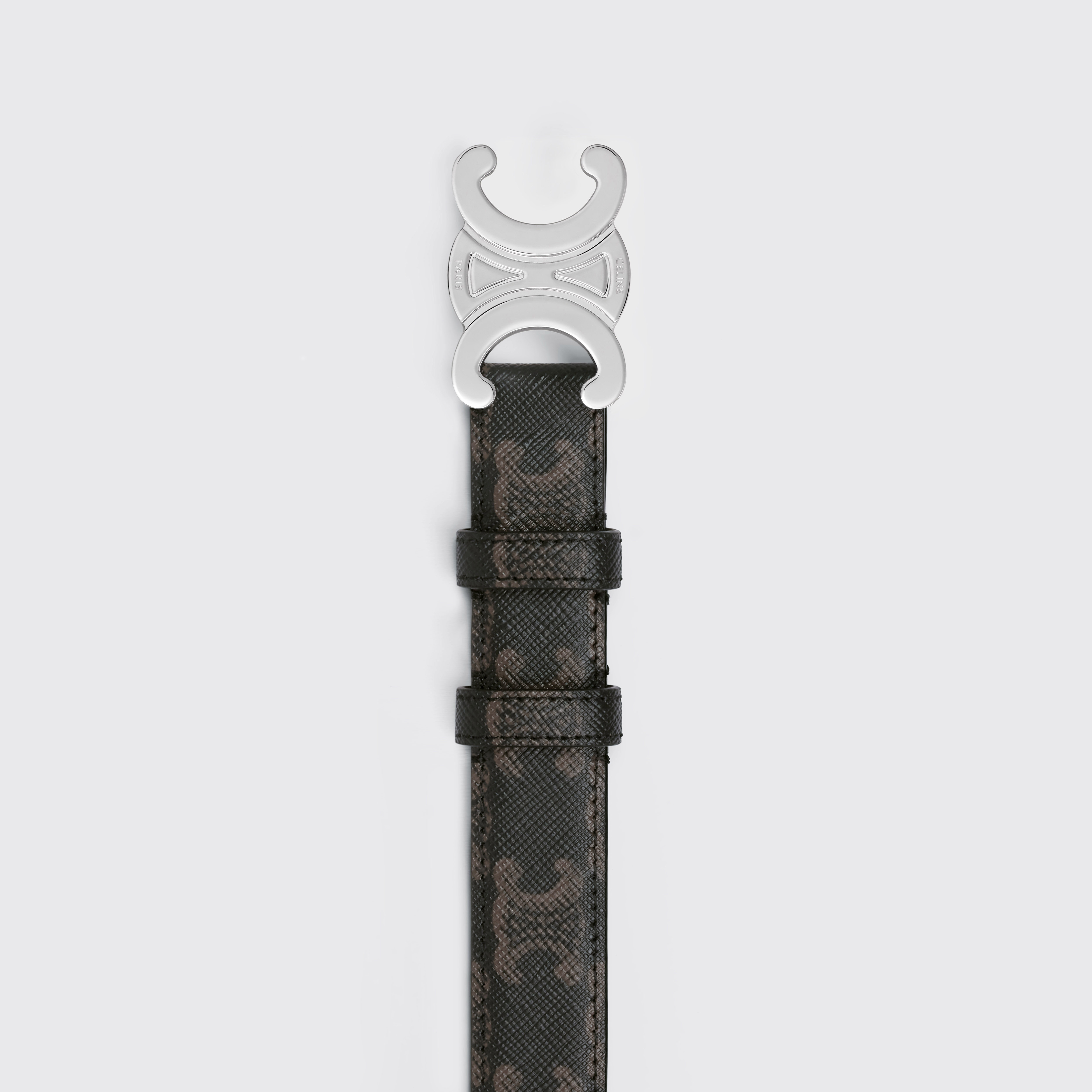 Medium Triomphe Belt in Triomphe Canvas - 2