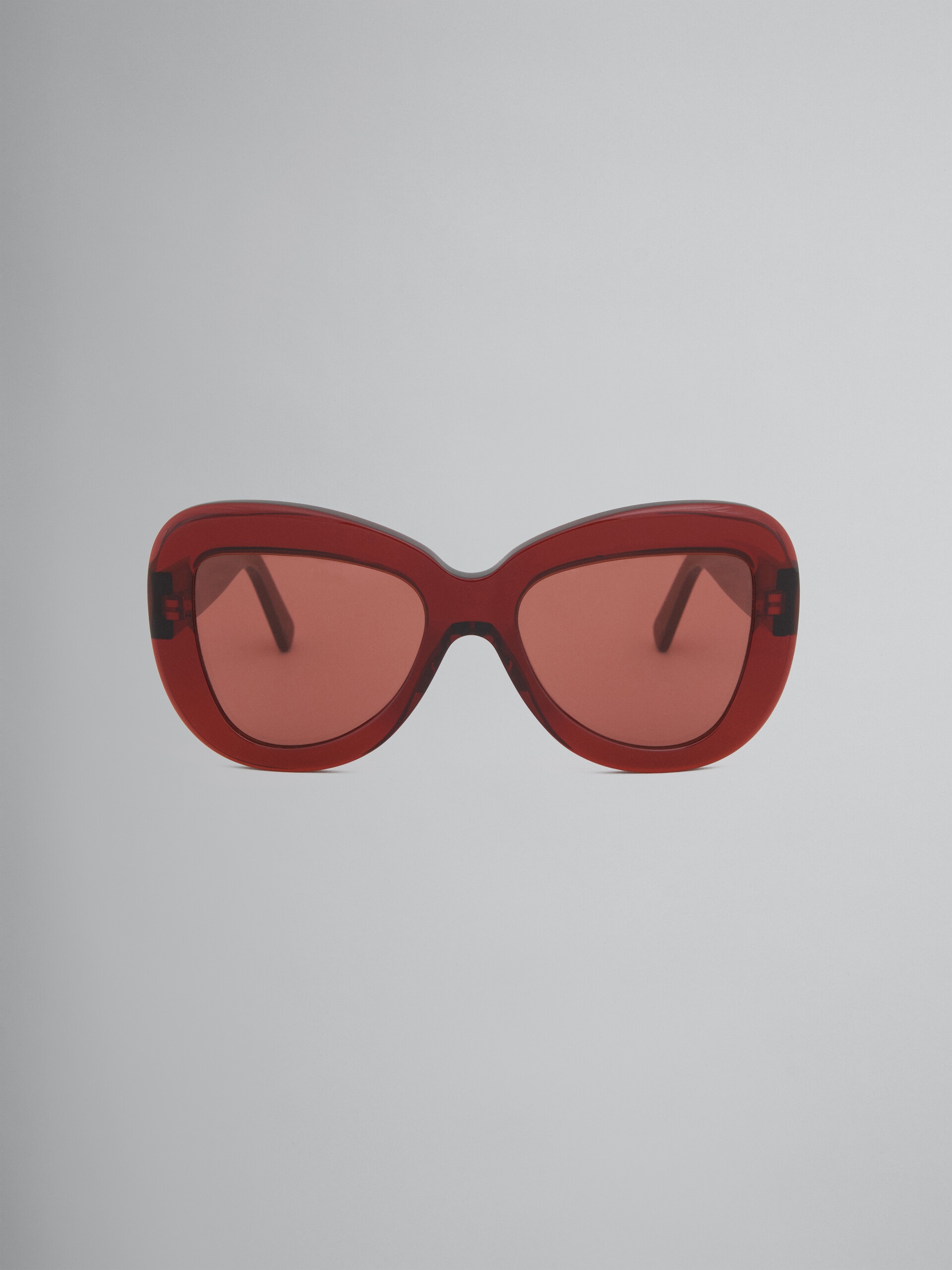 BURGUNDY ACETATE ELEPHANT ISLAND SUNGLASSES - 1