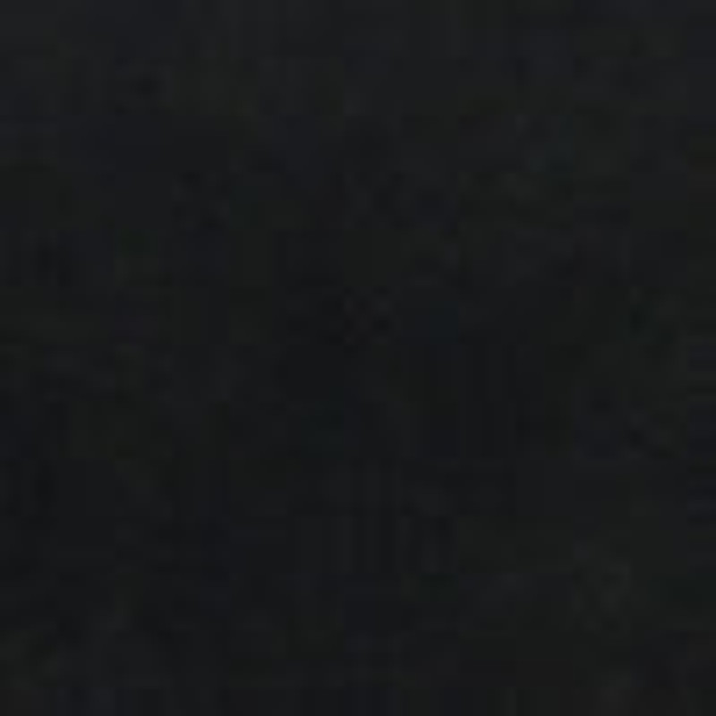 Laurie Bag in Leather 4