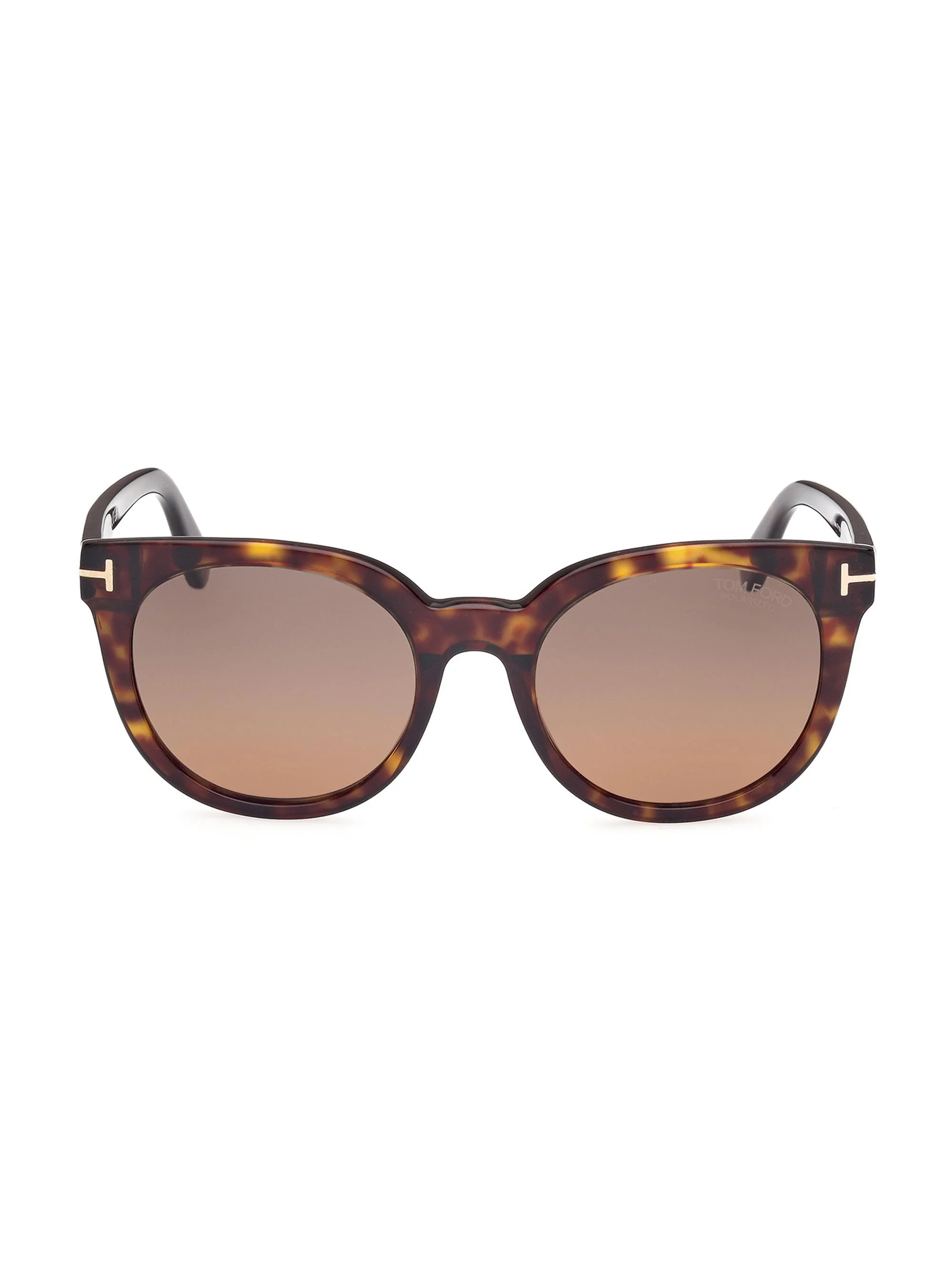 Women's 53MM Butterfly Sunglasses - Dark Havana Polarized Brown - 1