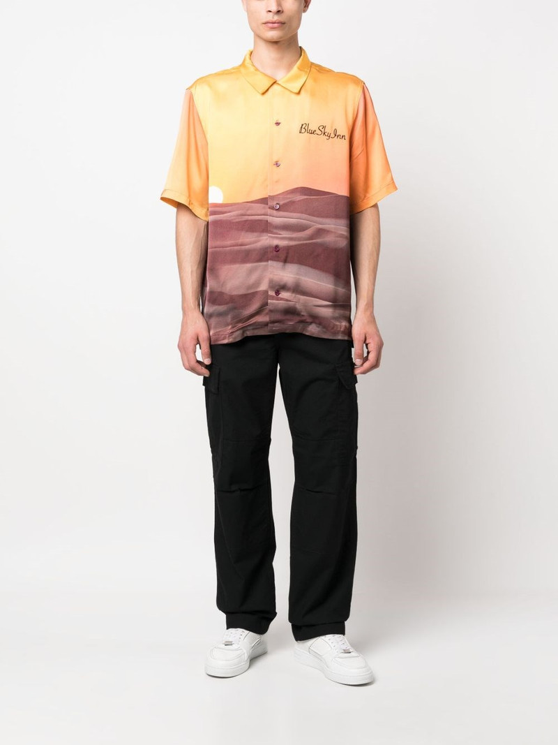 Carhartt Cotton cargo trousers outlook