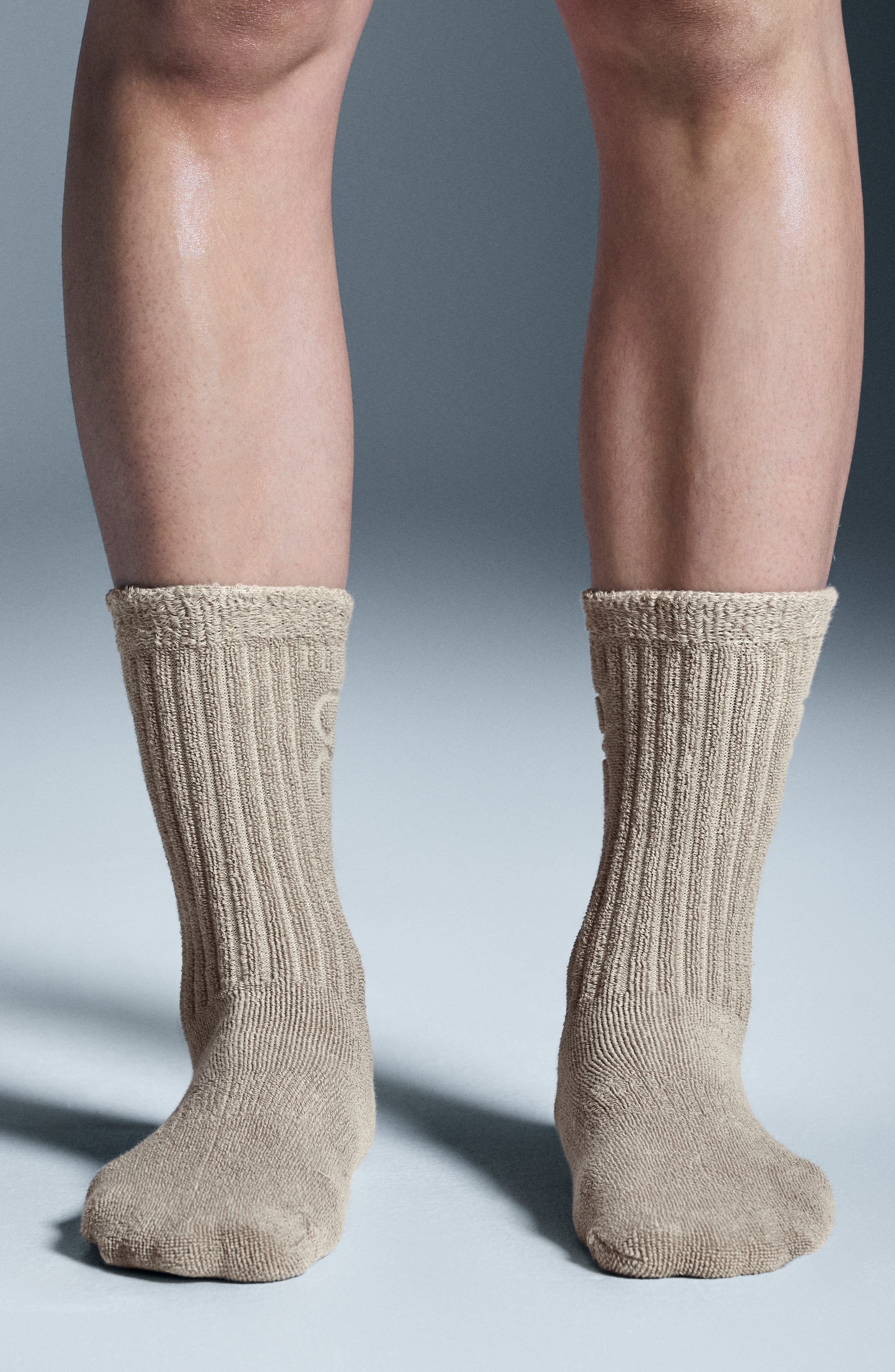 Cotton Terry Crew Socks in Desert at Nordstrom - 2