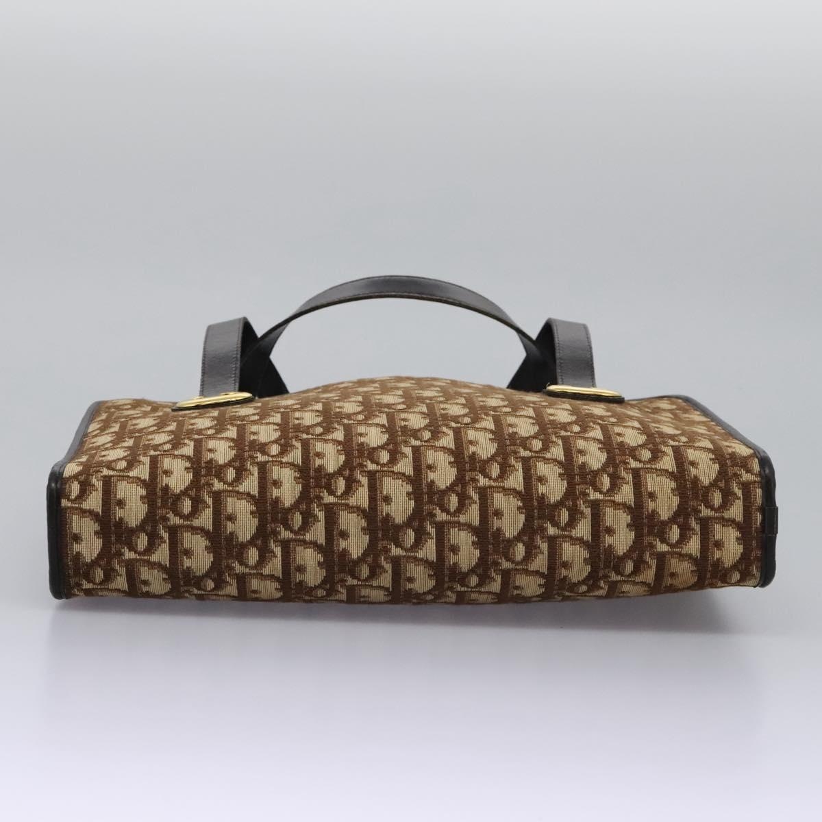 DIOR Trotter Canvas Hand Bag Brown - 10