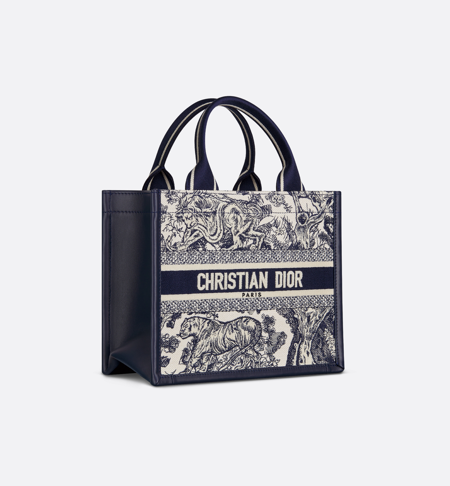 Small Dior Book Tote - 3