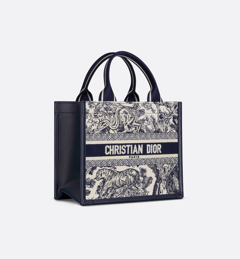 Small Dior Book Tote 3