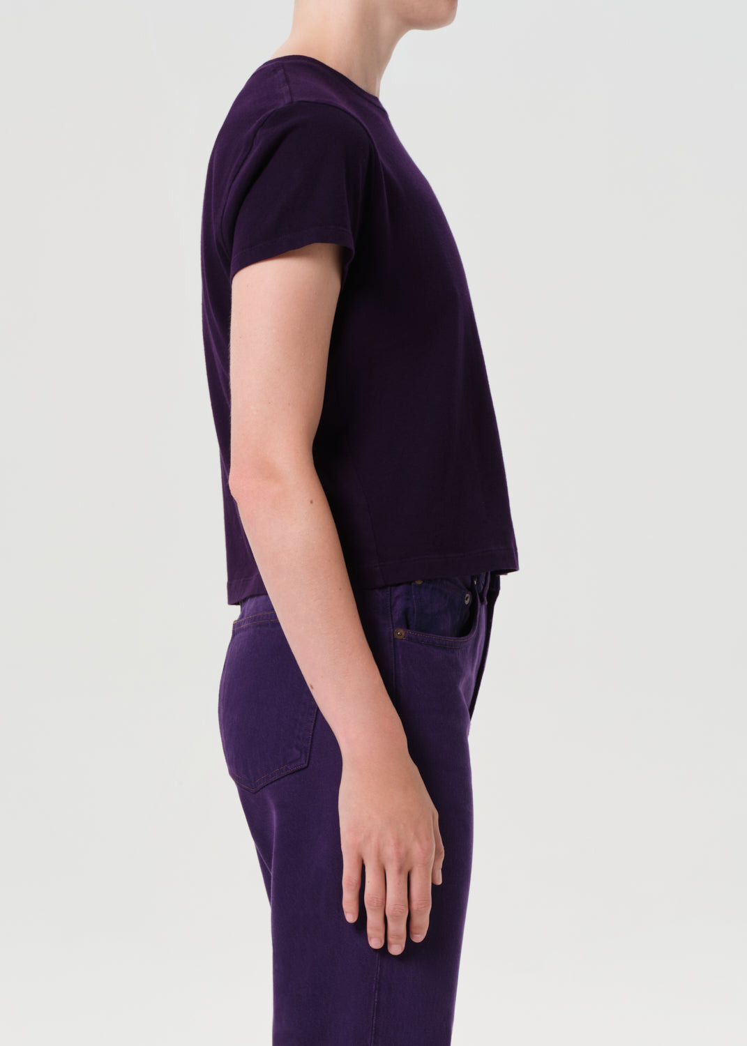 ADINE SHRUNKEN TEE IN CORDIAL - 3
