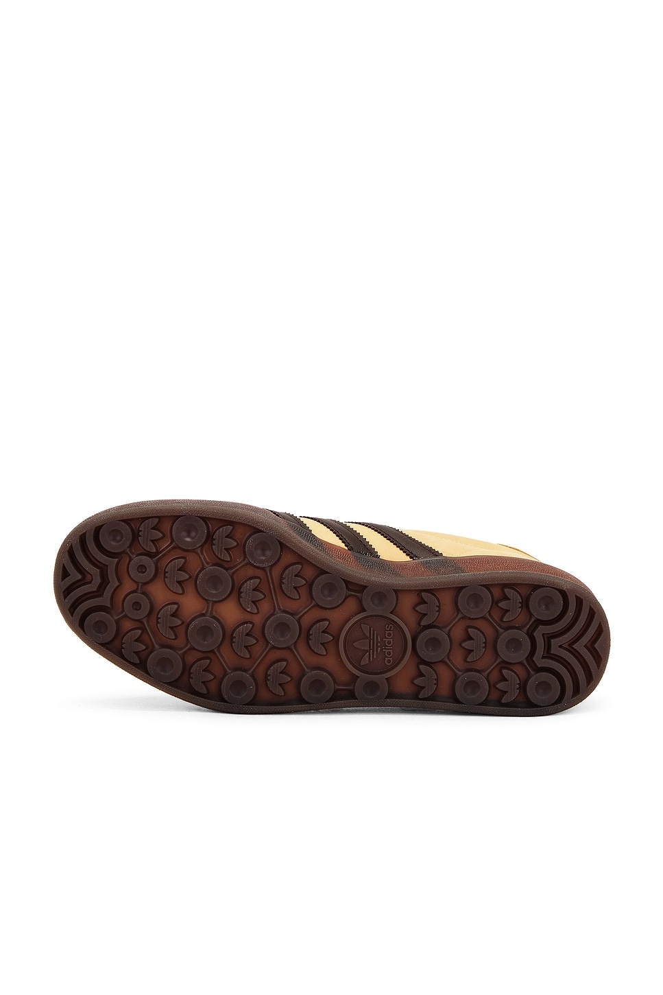 Gazelle Indoor - 6