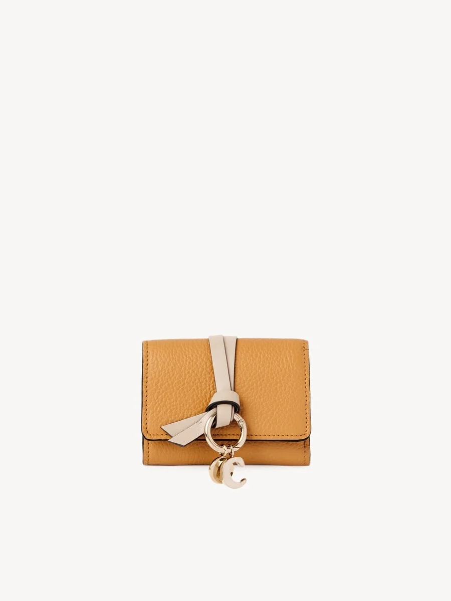 MINI ALPHABET TRI-FOLD IN GRAINED LEATHER - 1